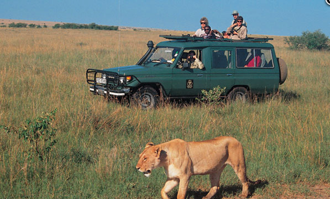 GameDriveinAberdareNationalParkss